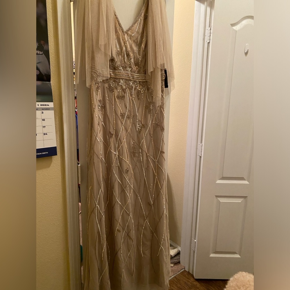 Adrianna Papell Biscotti Beaded Flutter Sleeve Gown Size 10.